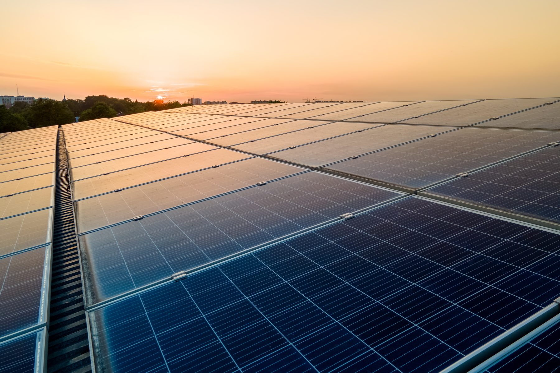 Rows of solar panels at sunset