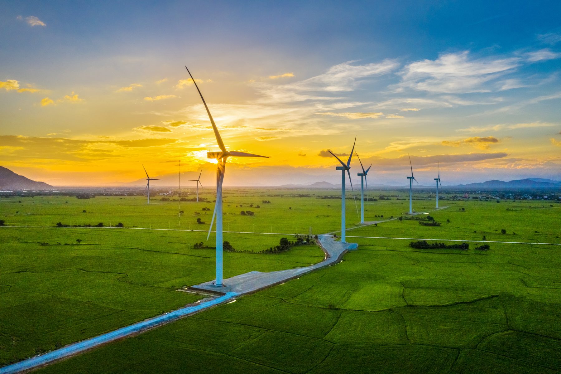 Wind turbines across open farmland at sunset